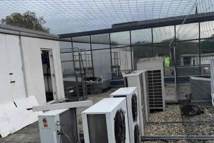installation of bird spikes in Havering