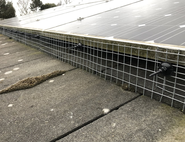 Solar Panel Proofing Bromley 5