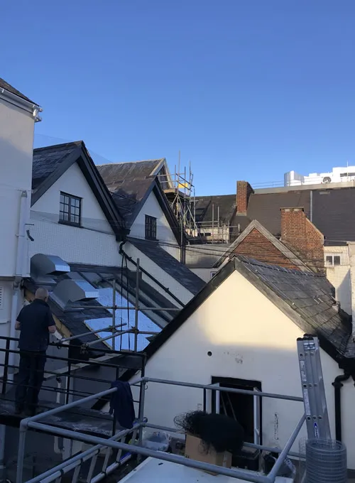 Bird Netting in Exeter 3