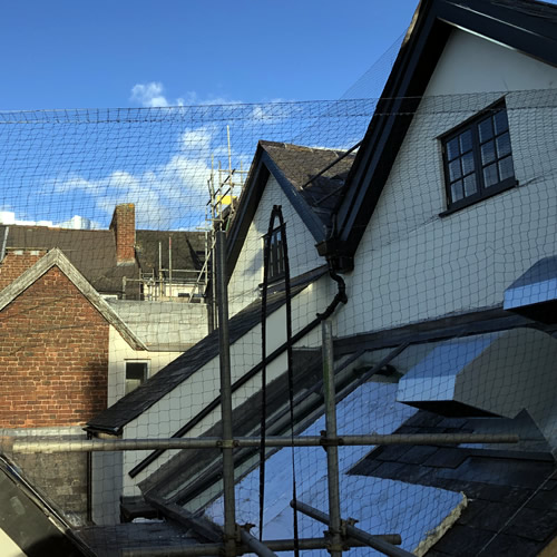 Bird Netting in Exeter