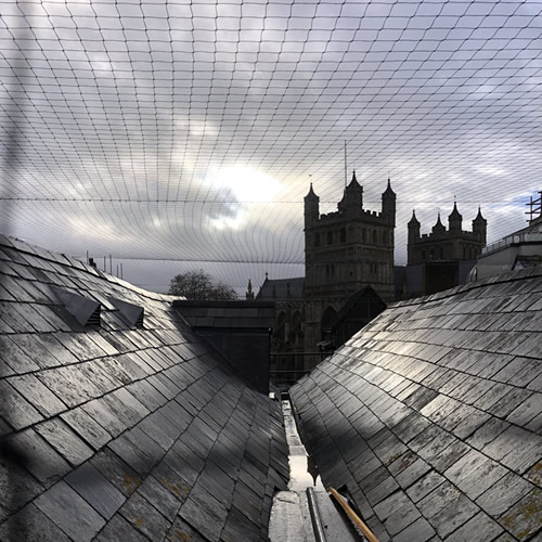 Large Bird Netting Job in Surrey