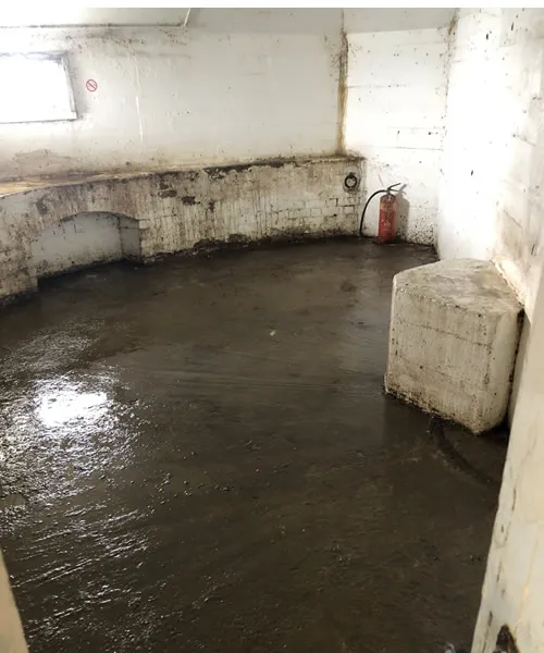Pigeon Guano Clearance Folkestone 4