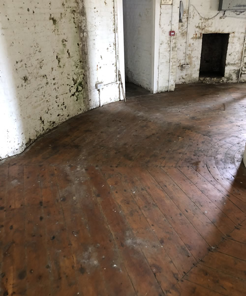 Recent Jobs Pigeon Guano Clearance Folkestone