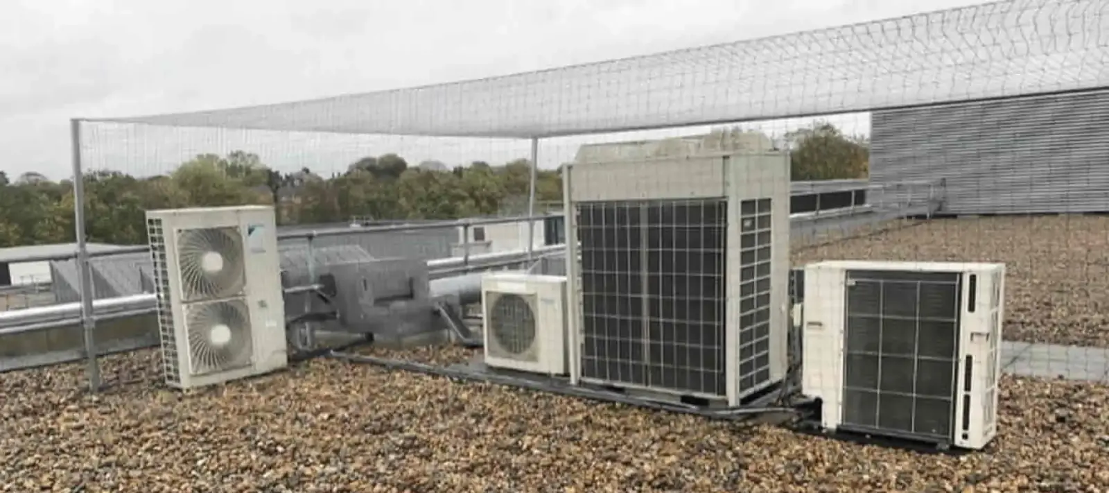 bird netting Hythe