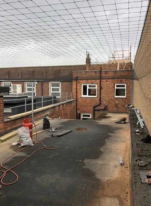 Bird Netting in Southampton 4