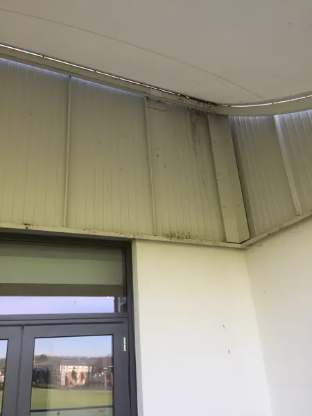 Bird Deterrents at Kent County Cricket Club - photo 2