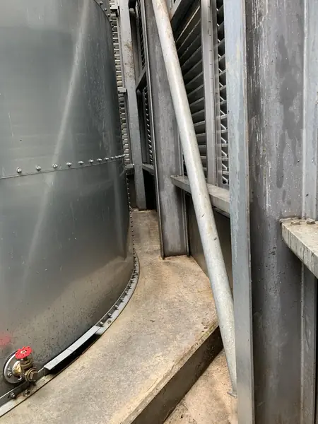Pigeon Guano Cleaning in Southend - photo 1