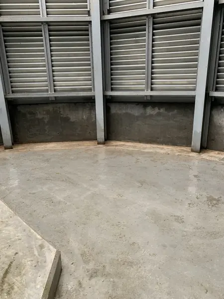 Pigeon Guano Cleaning in Southend - photo 2