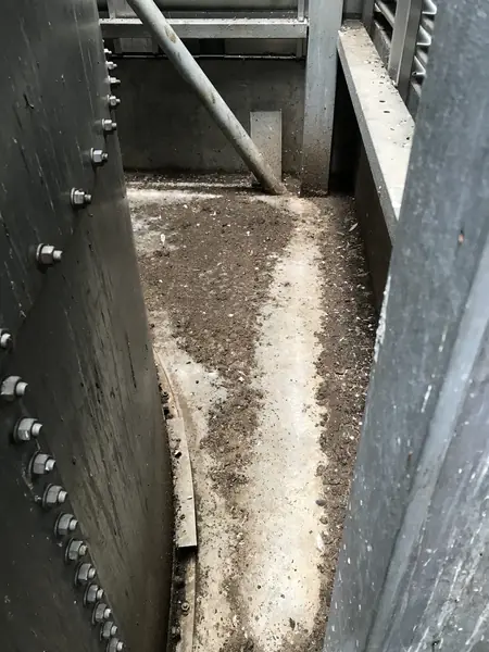 Pigeon Guano Cleaning in Southend - photo 4