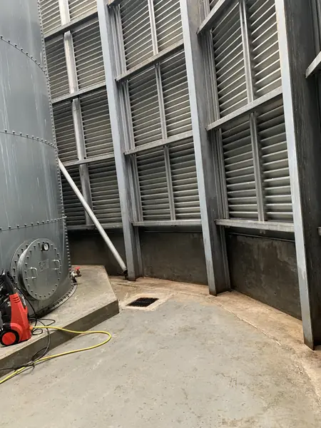 Pigeon Guano Cleaning in Southend - photo 5