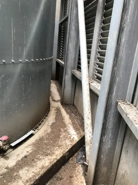Pigeon Guano Cleaning in Southend - photo 6