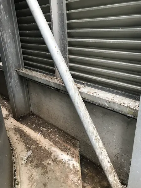 Pigeon Guano Cleaning in Southend - photo 7